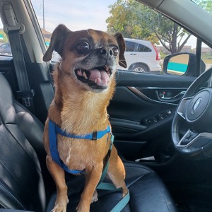 Fundraising Page: Kimberly Reyna